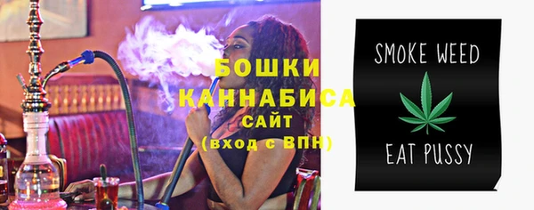 spice Аркадак
